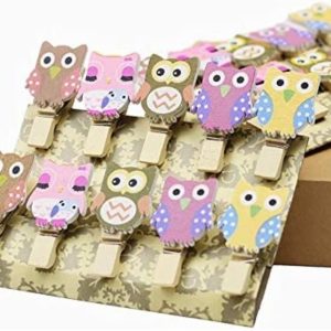 Owl Wooden Photo Paper Clips