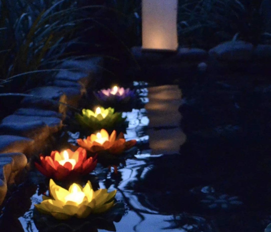 Lotus Flowers Sensor LED Light - Image 5